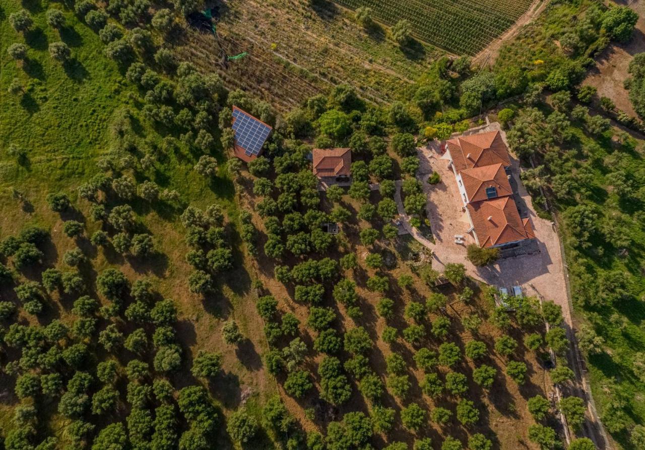 Ionianeon Apartments Agios Ilias  Zewnętrze zdjęcie