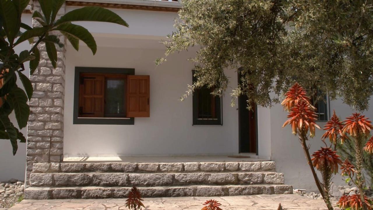 Ionianeon Apartments Agios Ilias  Zewnętrze zdjęcie