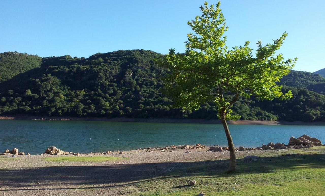 Ionianeon Apartments Agios Ilias  Zewnętrze zdjęcie
